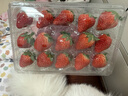 京鲜生 丹东红颜草莓300g+蓝莓15mm*3盒 美莓生鲜水果礼盒 实拍图