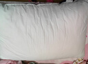 康尔馨希尔顿五星级酒店枕头 抗菌纯棉纤维枕成人家用单人枕头芯 白色 中枕(74*48cm) 一对 实拍图