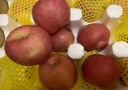 京鲜生 烟台红富士苹果 净重10斤  单果160g以上 水果礼盒 实拍图