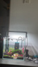 坤宁王金晶超白玻璃鱼缸30方缸家用小型裸缸桌面造景溪流缸客厅乌龟缸 实拍图