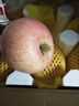 京鲜生山东烟台红富士苹果 5斤装单果75-80mm生鲜水果 源头直发 包邮 实拍图