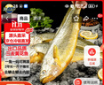 三都港 三去大黄鱼净重700g/2条装 宁德黄花鱼 生鲜 鱼类 实拍图