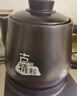 九阳（Joyoung）煎药壶中药壶熬药锅 养生壶 5L大容量 液体加热器 智能药膳煲家用DGD5003BQ 实拍图