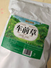 修年堂 车前草250g（5g*50包）干货车轮菜牛舌草养生茶饮中药材原料 实拍图