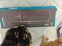 雷柏（Rapoo） V500PRO 有线背光机械键盘 104键全尺寸游戏电竞笔记本电脑多媒体办公吃鸡全键无冲键盘 青轴 实拍图
