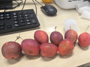 酷奇象 东北鸡心果【顺丰多地次日达-配送上门】小苹果沙果海棠果中秋礼 净重3斤精选大果【10-12枚/斤】 甄选装【顺丰快递礼盒-蕞划算】 实拍图