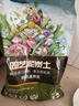 德沃多肥料进口纯泥炭土12L园艺植物营养土通用养花土种菜土壤兰花多肉育苗 实拍图