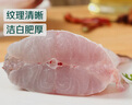 鲜活冲浪河鲈鱼400-500g/条 实拍图