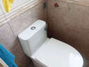 恒洁（HEGII）京东联名马桶S3 家用虹吸新版马桶513小户型坐便器DCF0300PT-400 实拍图