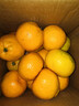 京鲜生 福建永安蜜橘 5斤 单果50g起 橘子/桔子  生鲜水果礼盒 实拍图