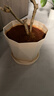 寿禾 花盆带托大号树脂简约绿植鲜花种植盆 木里盆大号-杏色 实拍图