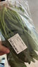 大菠菜300g 实拍图