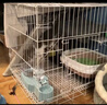 憨憨宠猫笼折叠猫笼子大号猫别墅加粗加密双层猫舍猫窝宠物猫咪用品家用 白色 850双层 实拍图