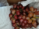 京鲜生 克伦森无籽红提 净重3斤装 葡萄/提子生鲜水果 克伦生 源头直发 实拍图