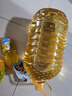 多力【张若昀同款】葵花籽油5L+238ml 食用油 物理压榨 零反式脂肪酸 实拍图