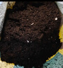 史丹利（STANLEY）有机营养土10L*2园艺有机土通用型种花种菜养花专用土壤种植土 实拍图