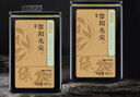 京东京造 2025新茶特级信阳毛尖100g栗香明前嫩芽叶绿茶茶叶自营 送礼 实拍图