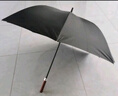天玮伞业（Tianwei umbrella）雨伞长柄伞大号超大伞自动男士直杆伞高尔夫商务伞晴雨伞可定制 实拍图