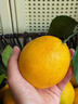 京鲜生 当季鲜橙 净重10斤 钻石果 单果约200-280g 生鲜橙子水果礼盒 实拍图