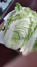 山东寿光大白菜黄心大娃娃菜农户现摘新鲜蔬菜原产地整箱批发 寿光白菜4斤 实拍图