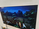 LGG5系列 55英寸OLED电视 艺术壁纸专业电竞电视Ultra 165Hz高刷显示屏 家电国家补贴 OLED55G5PCA 实拍图