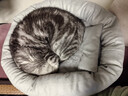 梵都宠舍 猫窝冬季保暖蛋挞猫垫子四季通用猫狗窝猫床猫咪用品宠物窝 实拍图