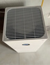 米家小米空气净化器4lite 除甲醛除菌除异味 空气伴侣 除PM2.5 AC-M17-SC 实拍图