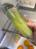 滇味十足（DIANWEISHIZU）水果玉米甜玉米云南金银双色新鲜甜嫩水果玉米棒鲜玉米茄果瓜 金银双色 【精选5斤】（净重 约5-9根） 实拍图