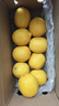 京鲜生 安岳黄柠檬16粒 单果95g-120g 生鲜水果 实拍图