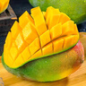 甜果源 攀枝花凯特芒果 大青皮芒果老树煌芒台应季时令礼盒新鲜水果包邮 5斤【单果200-300g】净重4.5-4.9斤 实拍图