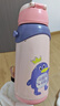 babycare儿童保温杯婴儿吸管水杯水壶不锈钢保温杯上学450ml-新旧款混发 实拍图
