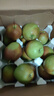 正宗山西玉露香梨子新鲜孕妇当季水果脆甜多汁3/5/10斤装整箱批发 净重9斤【精选中果】 实拍图