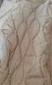 鸭鸭（YAYA）轻薄羽绒服马甲女V领新款基础修身背心内胆鸭绒马夹外套 米白色 155/80A(S) 实拍图