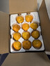 京地达浙江临海涌泉蜜桔新鲜水果橘子桔子重9.2斤单果55mm源头直发包邮 实拍图