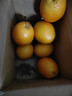 京觅江西赣南脐橙 5斤 单果200g+ 新鲜水果生鲜应当季橙子 源头直发 实拍图