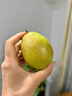 京鲜生 新疆特级库尔勒香梨 净重5斤单果120g以上 生鲜水果 实拍图