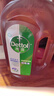 滴露（Dettol）洗衣消毒液衣物消毒水750mL除螨 家居地板杀菌 非84松木香 实拍图