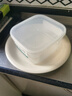 家の物语（KATEI STORY）日本抗菌冷冻分装盒冰箱冻肉保鲜盒食品级微波炉冷冻收纳盒水果盒 实拍图