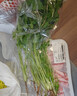 带根香菜100g 实拍图