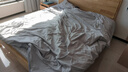 京东京造100%天然新疆棉花被 纯棉被芯双人被子 秋冬被7斤2.2x2.4m 实拍图