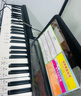 特伦斯电子琴88键折叠琴成人儿童初学电钢键盘教学乐器V10家用便携钢琴 典雅黑+原装琴包+Z型琴架 实拍图