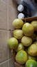 京典光年广西灵山钦蜜9号百香果 黄金百香果纯甜水果新鲜现摘整箱 精品大果净重2斤（单果70±5g） 实拍图
