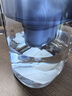 飞利浦（PHILIPS）净水壶滤水壶过滤水壶净水器滤水器过滤器滤芯 AWP2814蓝色【4.2L】七芯装 实拍图