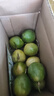 黄金百香果钦蜜9号新鲜当季现摘精选好果水果百香果鲜果酸甜可口 钦蜜9号黄金百香果 ＜40g小果 1斤 实拍图