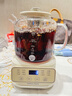 APIXINTL日本恒温养生壶0胶水全玻璃 电陶炉办公室全自动煮茶壶1.6L容量24h预约多功能烧水壶 带茶漏+炖盅 实拍图