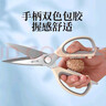 张小泉皓影剪刀不锈钢多功能剪刀夹核桃剪肉剪蔬菜烤肉剪 J300381 实拍图