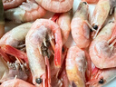 鲜京采 精选北极甜虾 净重3斤/盒 135-180只 解冻即食  实拍图