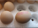 德青源DHA可生食鲜鸡蛋30枚3斤 无抗生素谷物喂养 牛奶搭档早餐礼盒装 实拍图