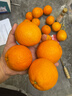 京鲜生 爱媛果冻橙 10斤装 单果150g起 生鲜水果桔子礼盒 实拍图