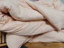 京东京造亲亲棉花被 100%新疆一级棉胎填充 A类秋冬被子被芯 6.2斤2x2.3m 实拍图